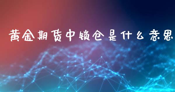 黄金期货中锁仓是什么意思_https://www.qdlswl.com_股指_第1张