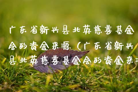 广东省新兴县北英慈善基金会的资金来源（广东省新兴县北英慈善基金会的资金来源是什么）_https://www.qdlswl.com_理财_第1张