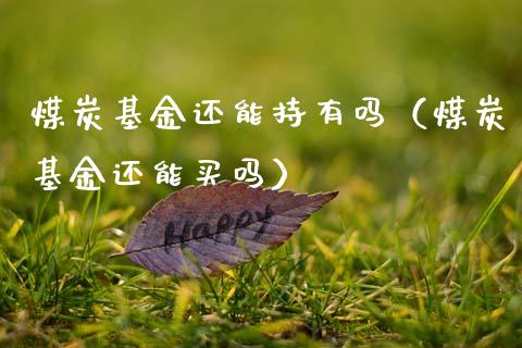 煤炭基金还能持有吗（煤炭基金还能买吗）_https://www.qdlswl.com_基金_第1张