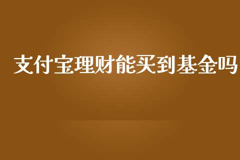 支付宝理财能买到基金吗_https://www.qdlswl.com_基金_第1张