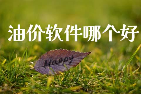 油价软件哪个好_https://www.qdlswl.com_直播_第1张