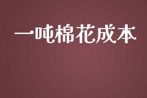 一吨棉花成本_https://www.qdlswl.com_期货_第1张