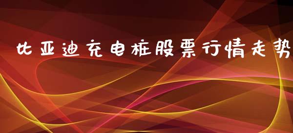 比亚迪充电桩股票行情走势_https://www.qdlswl.com_外盘_第1张