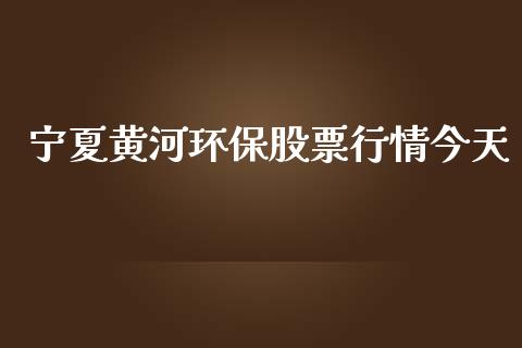 宁夏黄河环保股票行情今天_https://www.qdlswl.com_股票_第1张