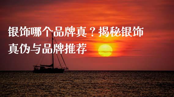 银饰哪个品牌真？揭秘银饰真伪与品牌推荐_https://www.qdlswl.com_理财_第1张
