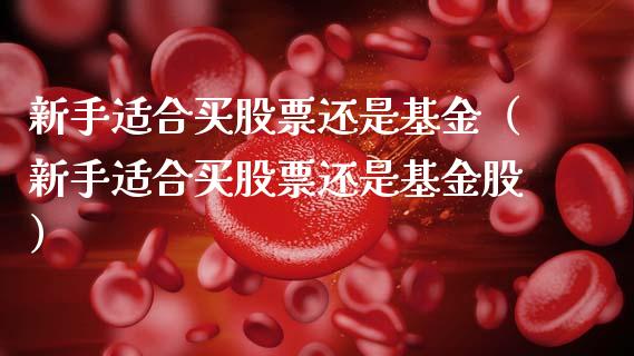 新手适合买股票还是基金（新手适合买股票还是基金股）_https://www.qdlswl.com_理财_第1张