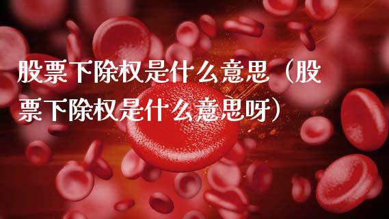 股票下除权是什么意思（股票下除权是什么意思呀）_https://www.qdlswl.com_内盘_第1张