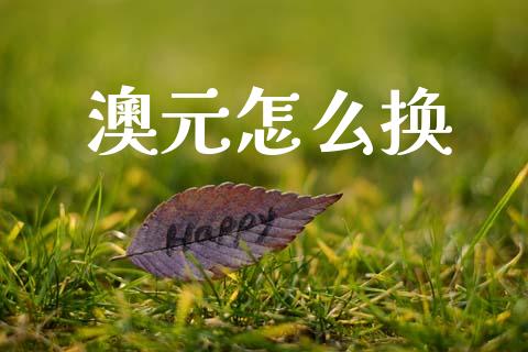 澳元怎么换_https://www.qdlswl.com_内盘_第1张