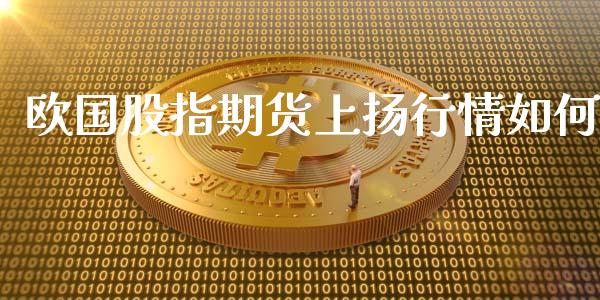 欧国股指期货上扬行情如何_https://www.qdlswl.com_股指_第1张