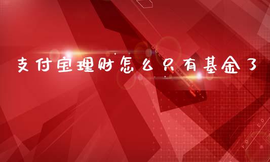 支付宝理财怎么只有基金了_https://www.qdlswl.com_基金_第1张