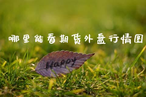 哪里能看期货外盘行情图_https://www.qdlswl.com_股指_第1张
