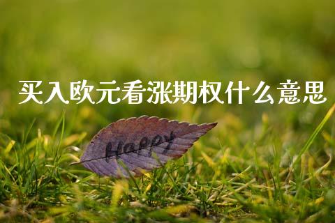 买入欧元看涨期权什么意思_https://www.qdlswl.com_股指_第1张