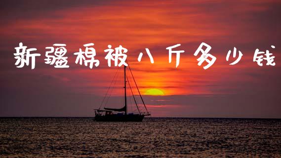 新疆棉被八斤多少钱_https://www.qdlswl.com_期货_第1张