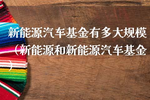 新能源汽车基金有多大规模（新能源和新能源汽车基金）_https://www.qdlswl.com_理财_第1张