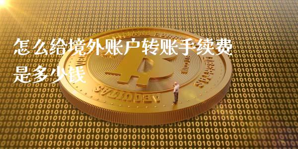 怎么给境外账户转账手续费是多少钱_https://www.qdlswl.com_内盘_第1张