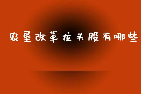 农垦改革龙头股有哪些_https://www.qdlswl.com_内盘_第1张