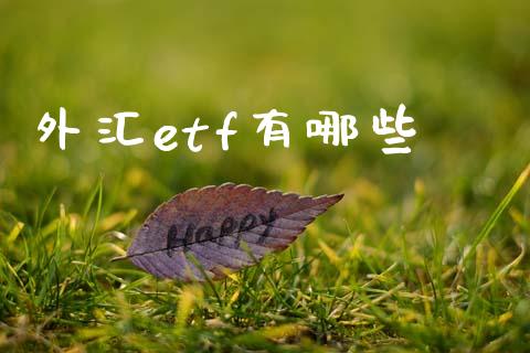 外汇etf有哪些_https://www.qdlswl.com_内盘_第1张