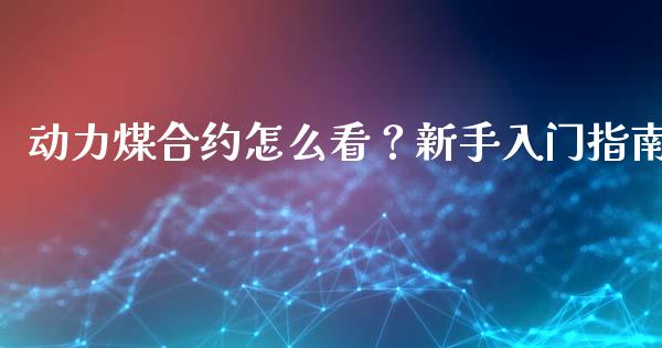 动力煤合约怎么看？新手入门指南_https://www.qdlswl.com_外盘_第1张