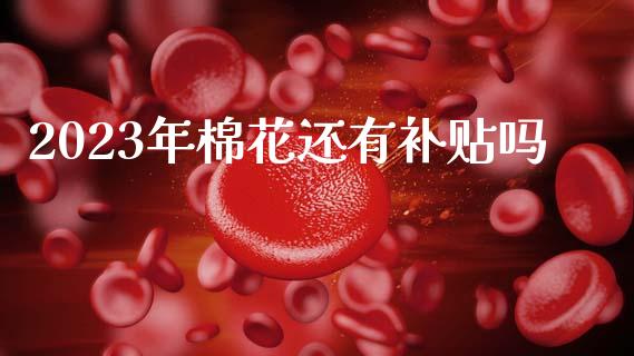2023年棉花还有补贴吗_https://www.qdlswl.com_期货_第1张