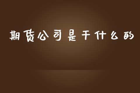 期货公司是干什么的_https://www.qdlswl.com_内盘_第1张