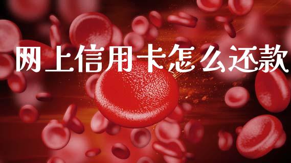 网上信用卡怎么还款_https://www.qdlswl.com_理财_第1张