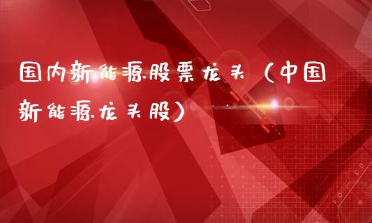 国内新能源股票龙头（中国新能源龙头股）_https://www.qdlswl.com_内盘_第1张