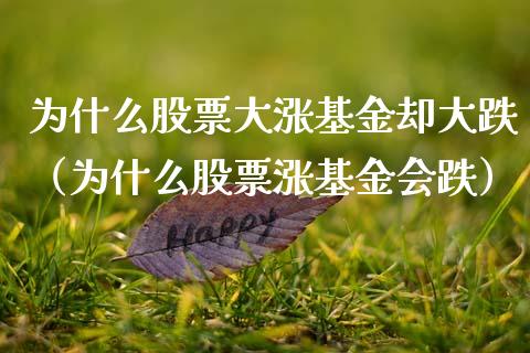 为什么股票大涨基金却大跌（为什么股票涨基金会跌）_https://www.qdlswl.com_理财_第1张