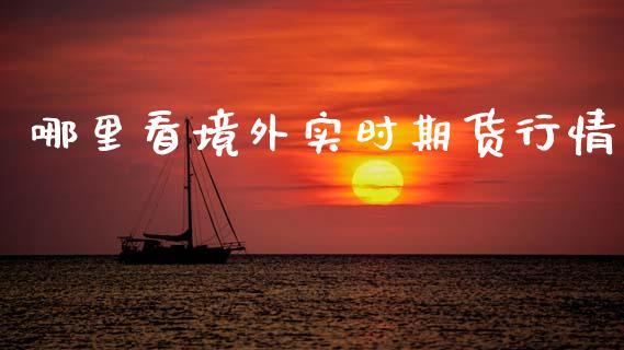 哪里看境外实时期货行情_https://www.qdlswl.com_期货_第1张