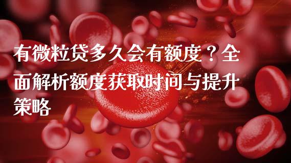有微粒贷多久会有额度？全面解析额度获取时间与提升策略_https://www.qdlswl.com_基金_第1张