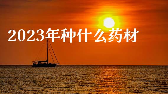2023年种什么药材_https://www.qdlswl.com_股指_第1张