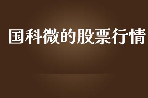 国科微的股票行情_https://www.qdlswl.com_外盘_第1张
