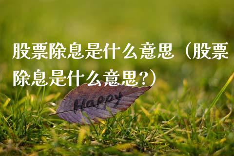 股票除息是什么意思（股票除息是什么意思?）_https://www.qdlswl.com_内盘_第1张
