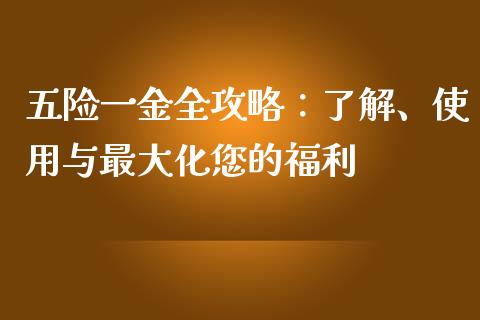 五险一金全攻略：了解、使用与最大化您的福利_https://www.qdlswl.com_理财_第1张