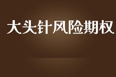 大头针风险期权_https://www.qdlswl.com_外盘_第1张
