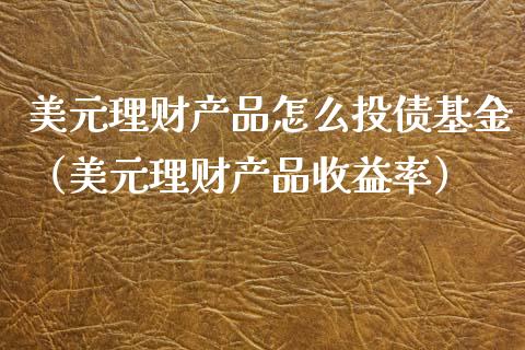 美元理财产品怎么投债基金（美元理财产品收益率）_https://www.qdlswl.com_理财_第1张