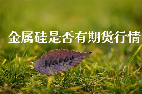 金属硅是否有期货行情_https://www.qdlswl.com_股指_第1张
