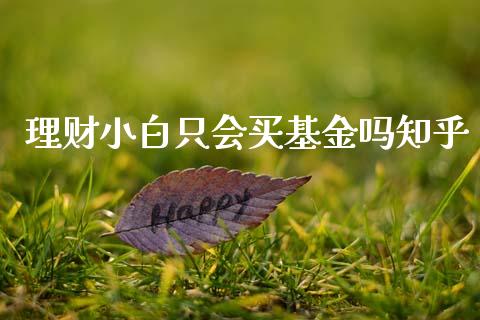理财小白只会买基金吗知乎_https://www.qdlswl.com_理财_第1张