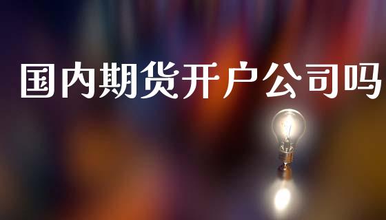 国内期货开户公司吗_https://www.qdlswl.com_理财_第1张