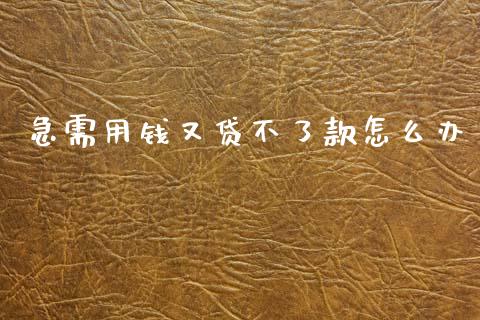 急需用钱又贷不了款怎么办_https://www.qdlswl.com_期货_第1张