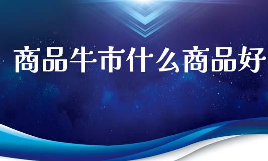 商品牛市什么商品好_期货_第1张_青岛财经网 商品牛市什么商品好_https://www.qdlswl.com_期货_第1张