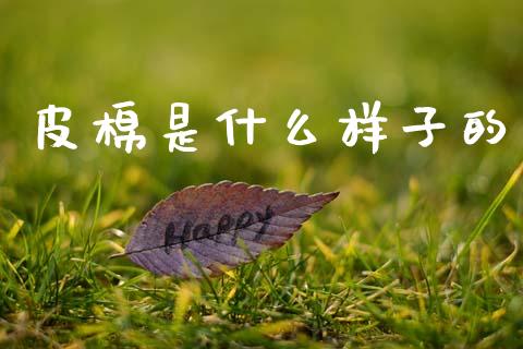 皮棉是什么样子的_https://www.qdlswl.com_股指_第1张