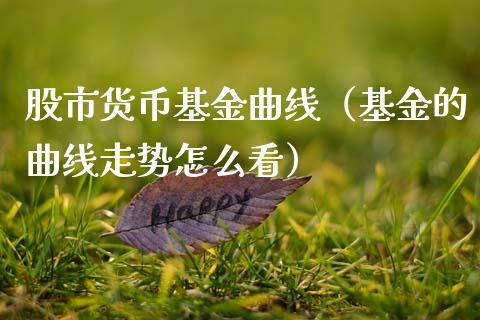 股市货币基金曲线（基金的曲线走势怎么看）_https://www.qdlswl.com_基金_第1张
