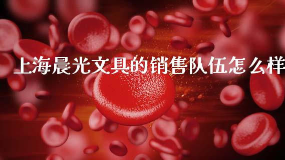 上海晨光文具的销售队伍怎么样_https://www.qdlswl.com_股票_第1张