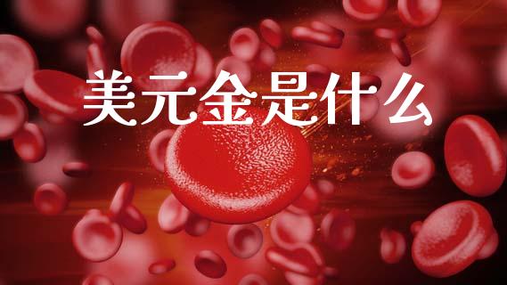 美元金是什么_https://www.qdlswl.com_理财_第1张