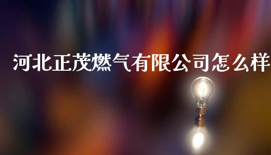 河北正茂燃气有限公司怎么样_https://www.qdlswl.com_股票_第1张