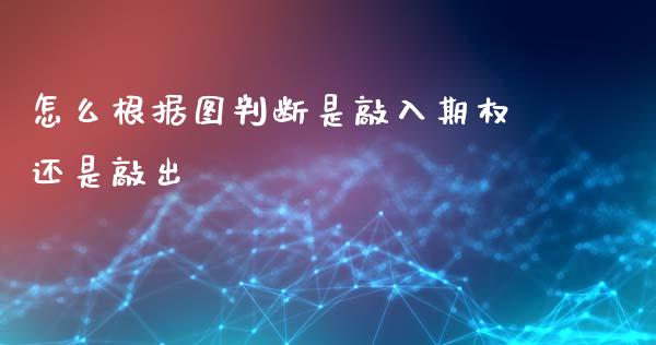 怎么根据图判断是敲入期权还是敲出_https://www.qdlswl.com_期货_第1张