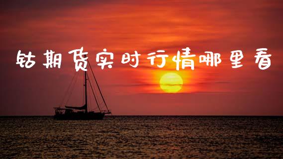 钴期货实时行情哪里看_https://www.qdlswl.com_股指_第1张