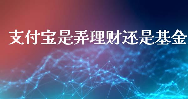 支付宝是弄理财还是基金_https://www.qdlswl.com_基金_第1张