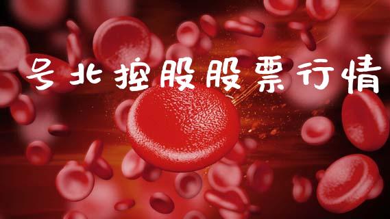 号北控股股票行情_https://www.qdlswl.com_外盘_第1张