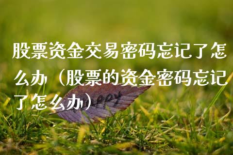 股票资金交易密码忘记了怎么办（股票的资金密码忘记了怎么办）_https://www.qdlswl.com_外盘_第1张